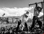 Emissora banaliza a reforma agrária na mesma semana em que governo prioriza o Agro