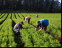 25 de julho: agricultura familiar, um modelo de vida sustentável
