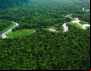 Manifestação pública em defesa do meio ambiente e da vida do Fórum Nacional Permanente em Defesa da Amazônia