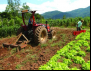 CONTRAF BRASIL apoia Greve dos Caminhoneiros e convoca Agricultura Familiar para somar nas paralisações