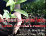 Fetraf Ceará realiza II Congresso Estadual da Agricultura Familiar em Fortaleza