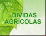 Endividamento Agrícola