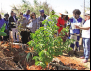 PRIMEIRA-DAMA BUSCA PARCERIAS NO BRASIL: Potencializar agricultura para alimentar as escolas