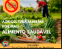 Agricultura Familiar via para a alimentação saudável