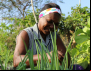 Agroecologia como Modo de Ser e de Viver: povos do campo, das águas e floresta participam do Congresso de Agroecologia 2017
