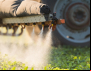 IBGE revela que uso de agrotóxicos cresce e Agricultura Familiar alerta risco para Segurança Alimentar