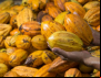 Desconto para 17 produtos financiados pelo Programa Nacional de Fortalecimento da Agricultura Familiar (Pronaf)