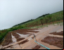 Chuva destrói produção de alimentos que abastecia região no DF