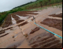 Chuva destrói produção de alimentos que abastecia região no DF