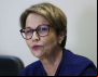 Declaração de o ao Pronaf é prorrogada por 2 anos