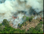 Contraf Brasil repudia o crime contra Amazônia e povos tradicionais