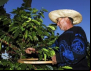 20 culturas da agricultura familiar têm bônus em março