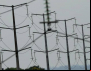 Deputados tentam anular decreto que reduziu descontos na energia rural