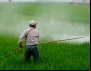 PFDC solicita ao TCU adoção de medidas quanto à atuação governamental destinada à fiscalização de uso de agrotóxicos no Brasil