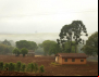 Ainda dá tempo de fazer o Cadastro Ambiental Rural