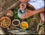 Contraf Brasil acompanha estratégias da Década das Nações Unidas para a Agricultura Familiar