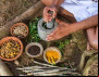 Contraf Brasil acompanha estratégias da Década das Nações Unidas para a Agricultura Familiar