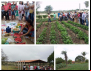 Fetraf Bahia promove intercâmbio entre agricultores familiares sobre tecnologia da produção