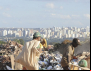FAO lança campanha Fome Zero para erradicar a fome até 2030