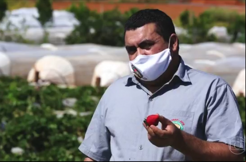 ORGULHO! FETRAF-DFE NO GLOBO RURAL DESSE DOMINGO (27).