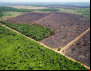 Contraf Brasil assina com mais de 80 organizações nota de repúdio à votação do licenciamento ambiental
