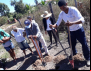 Juventude da Agricultura Familiar planta o futuro com Orgânicos